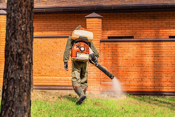 Trusted Rodent Control service in Prineville Lake Acres, OR - Nex Pest Control